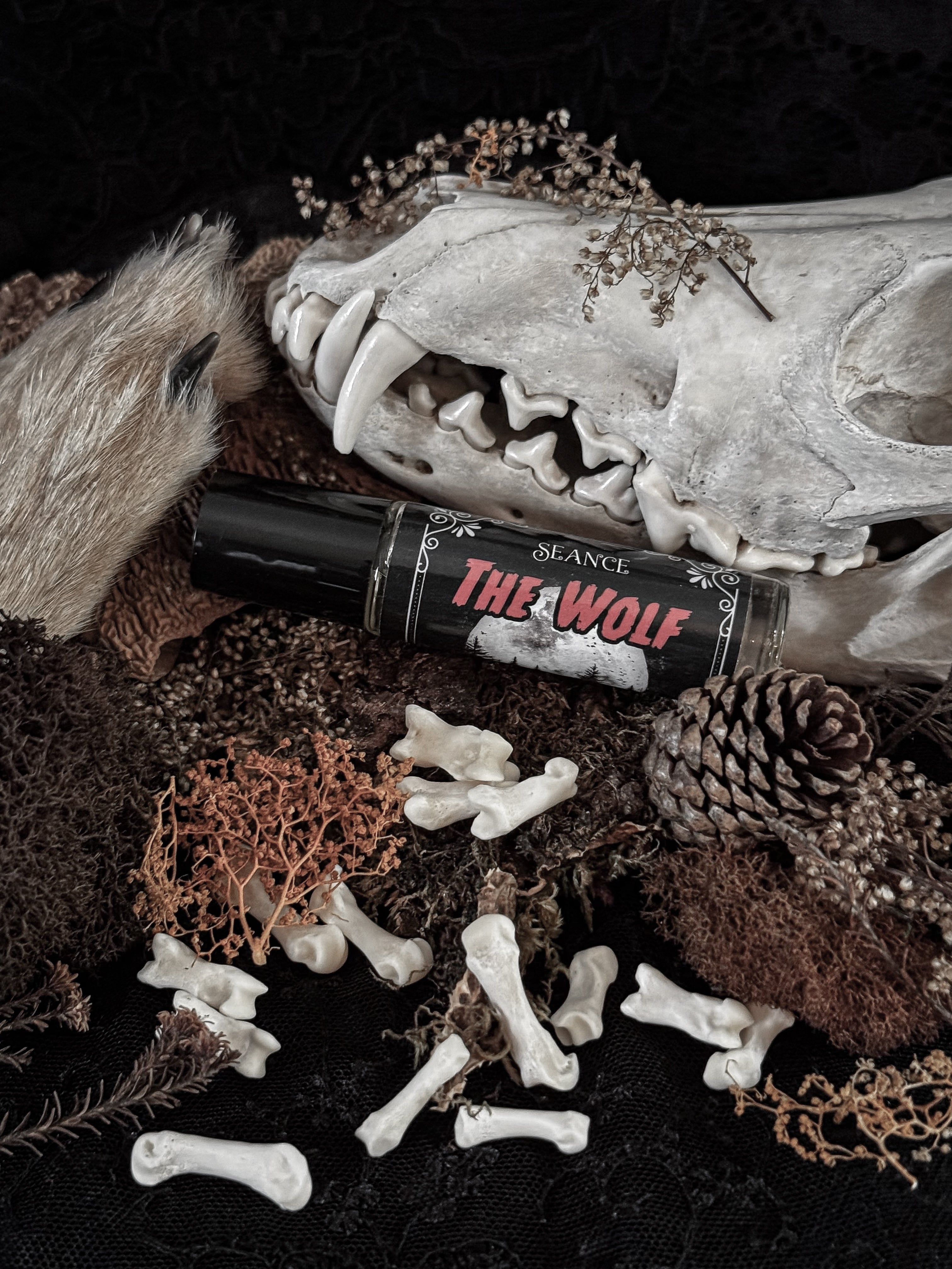 The Wolf (forest & musk)