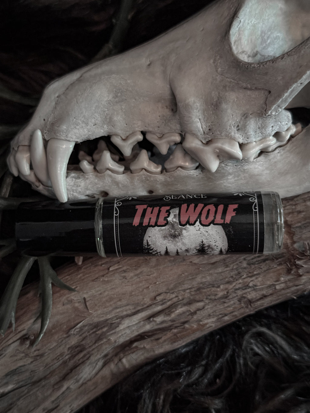 The Wolf (forest & musk)