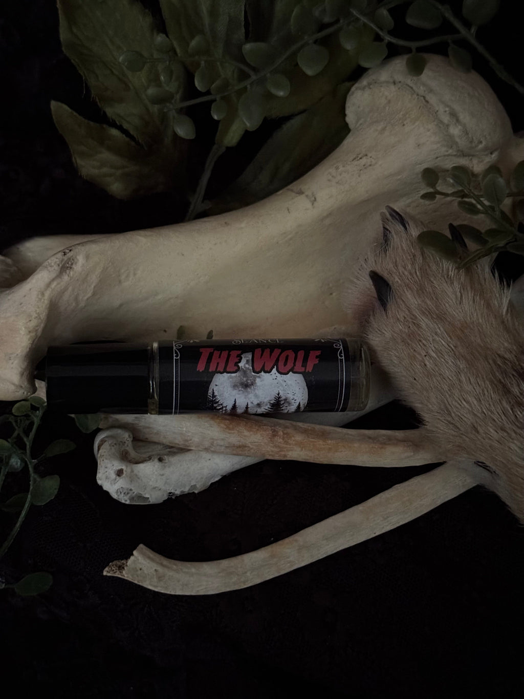 The Wolf (forest & musk)